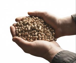 The global energy landscape is currently undergoing a structural transformation China Leading Biomass Pellet Machine Factory