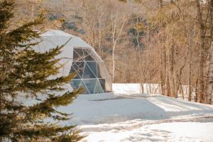 snow load rated geodesic domes