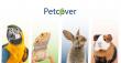 Petcover Strengthens Its Position as Australia’s Dedicated Exotic Pet Insurance Provider