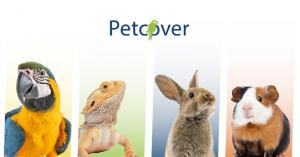 Affordable Specialist Exotic Pet Insurance Australia | Birds, Parrots, Reptiles, Small Mammals, Turtles & Tortoises