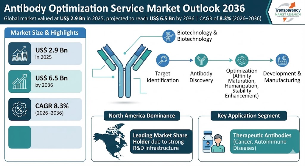 Antibody Optimization Service Market is Estimated to Reach US$ 6.5 Bn by 2036, Driven by Biologics and R&D Outsourcing