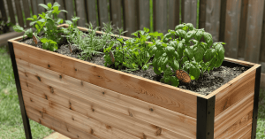 Cedar raised planters filled with fresh herbs and edible produce: a naturally non-toxic, food-safe choice ideal for growing vegetables, herbs, and flowers in one healthy garden space