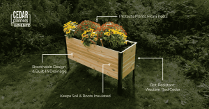 Cedar raised garden bed with labeled call-outs highlighting features: breathable design with built-in drainage, pest protection, soil and root insulation, and rot-resistant Western Red Cedar.