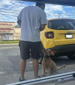 Angel's K9 Services LLC-4