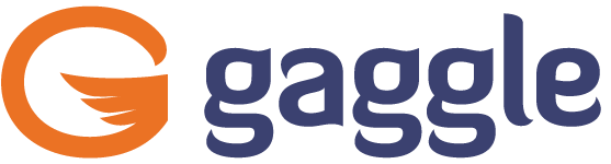 Gaggle Helps School Leaders Stay Ahead of AI Risks with Real-Time Web Filtering