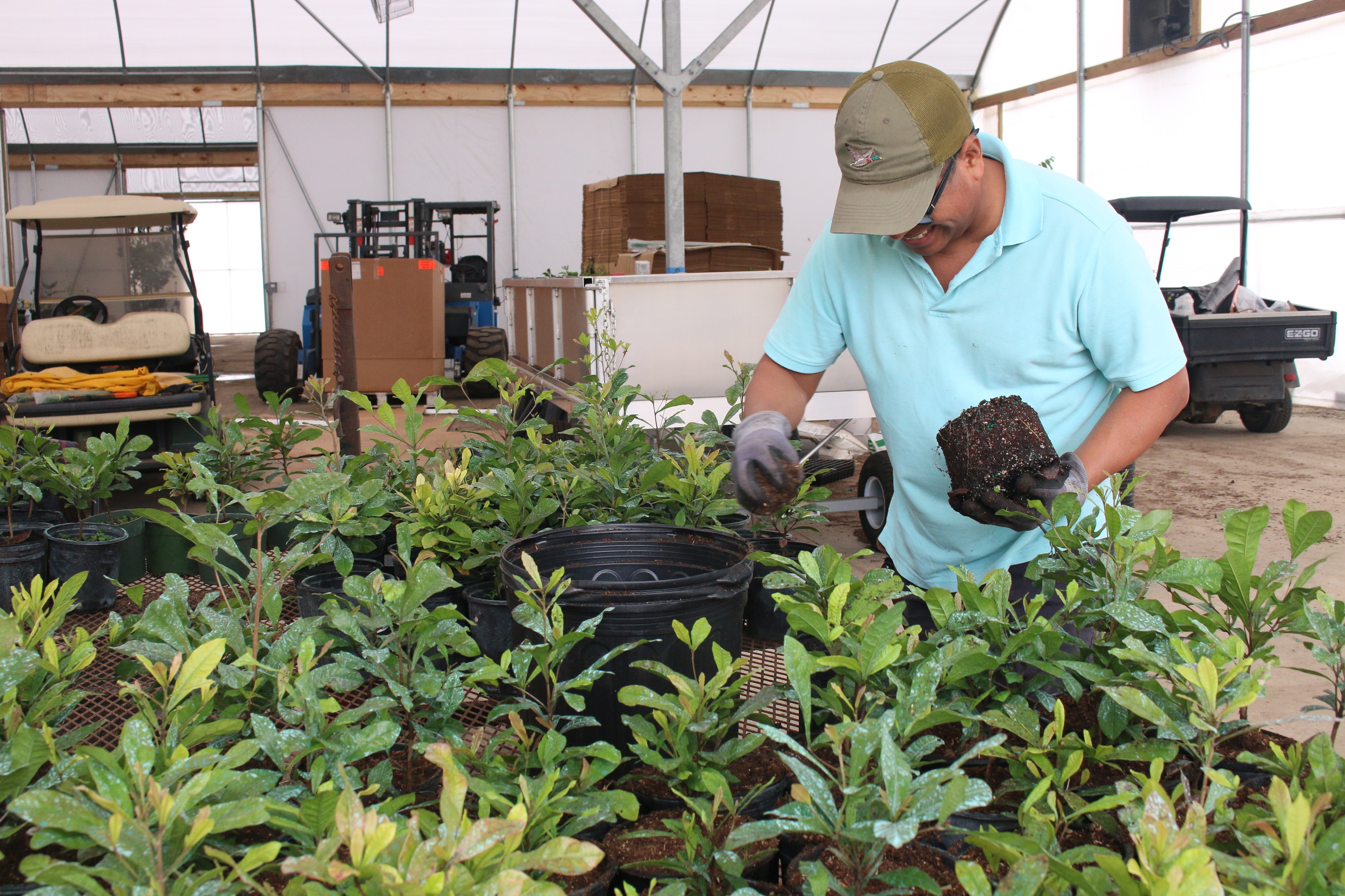 Everglades Farm Shares Early Spring Planting Tips for Fruit Trees and Container Gardens