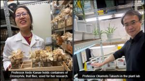 Study Biology in English in Tokyo: TMU’s Fall Admission Program for Global Student 20 TMU2