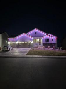 Pink's Window Services Colorado Springs