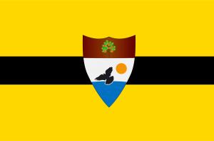 LL-FLAG