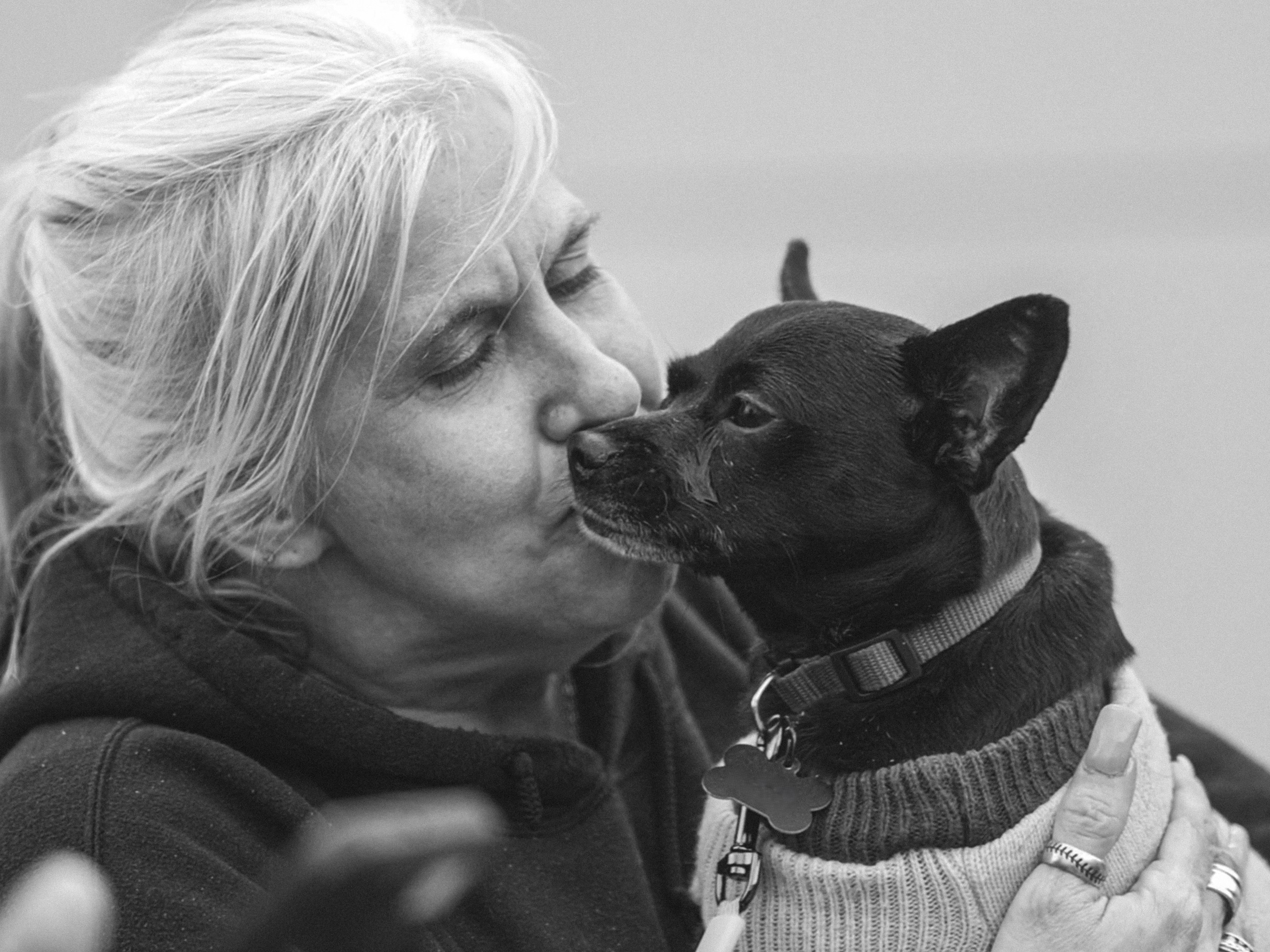 Feeding Pets of the Homeless announces Corporate Community PAWtnership