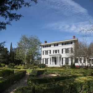 Boxwood, credit Diane Kirkland, Georgia Trust for Historic Preservation