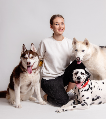 WizeDogs Brings Relationship-Focused Dog Training to Surprise