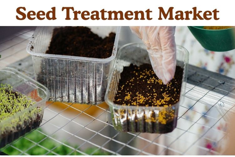 Seed Treatment Market to Reach USD 13,464 Million by 2031 at 8.1% CAGR | Driven by Sustainable Agriculture Trends