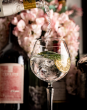 EDO HOSPITALITY ANNOUNCES NEW MENU ITEMS AND WINE EVENTS AT LAS VEGAS RESTAURANTS 