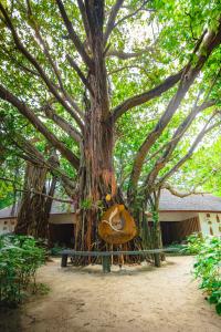 Banyan Tree