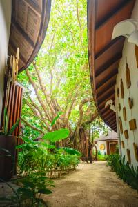 The Banyan Tree