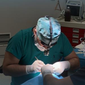 Der plastische Chirurg Dr. Alp Aslan führt eine Haartransplantation durch