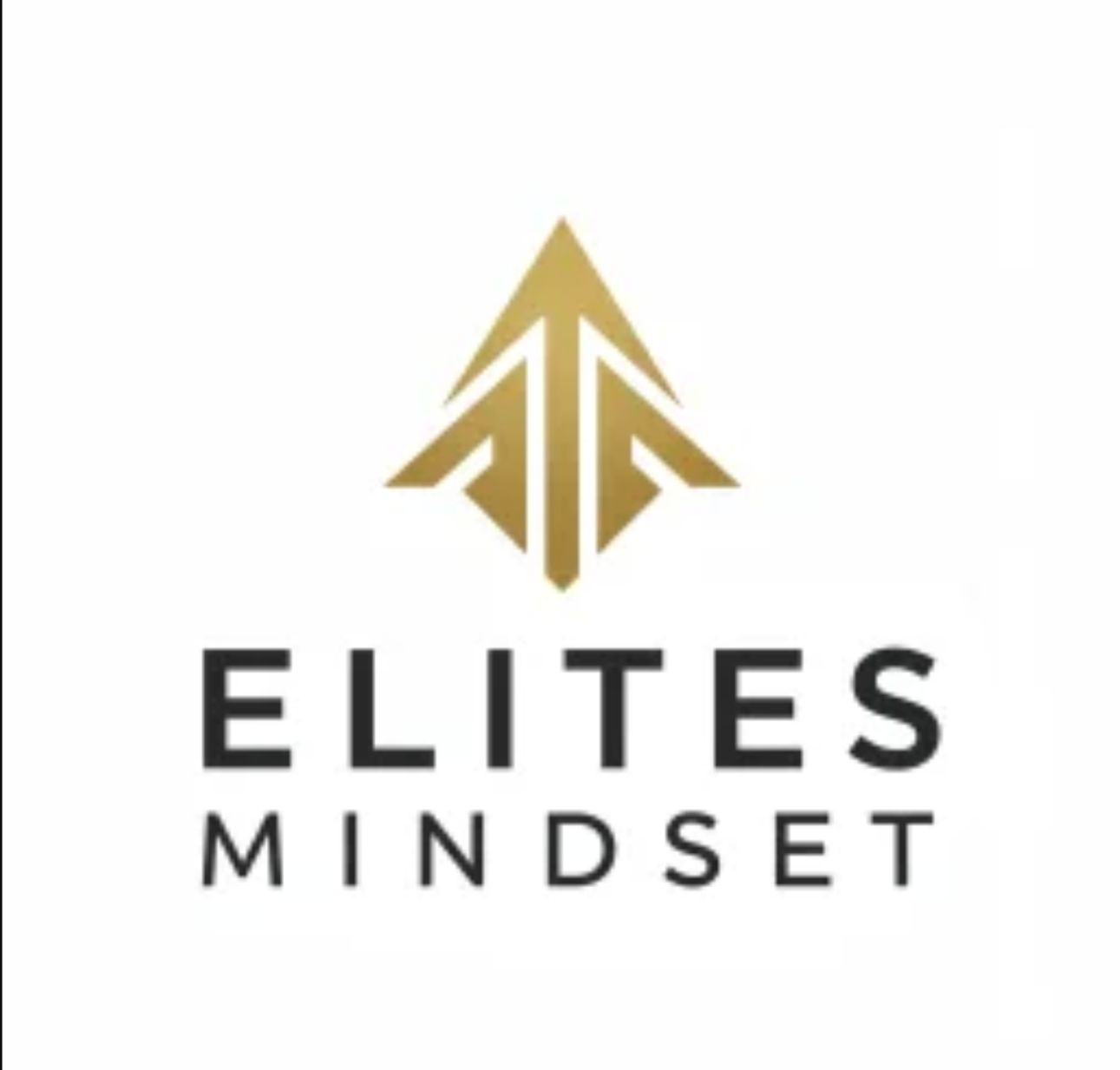 Elites Mindset Redefines Digital Publishing with a New Standard