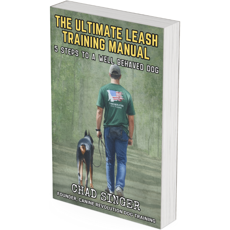 SUMMERVILLE DOG TRAINER CANINE REVOLUTION DOG TRAINING PUBLISHES LEASH TRAINING BOOK NOW AVAILABLE ON AMAZON