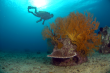 Memorial Reefs International offers Private Memorial Ceremonies along New Jersey coast