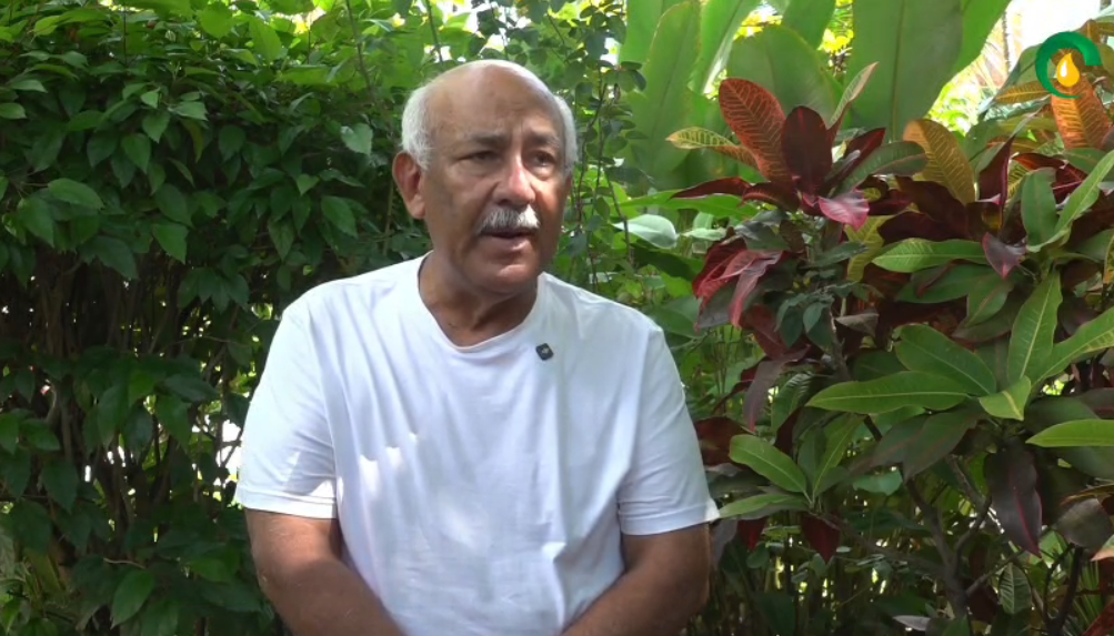 Amazon Wildfires: Soil Restoration Reduces Fire Risk in Peru