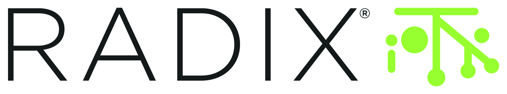 Radix IoT Announces Recipients of Dailenis González Frómeta Memorial Scholarship