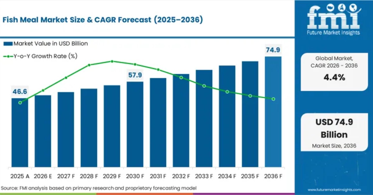 Fish Meal Market Projected to Reach USD 74.8 Billion by 2036 as “Value-Driven” Expansion Reshapes Global Feed Industry