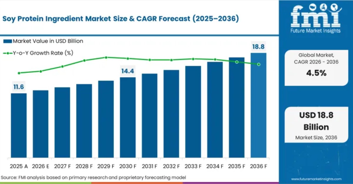 Soy Protein Ingredient Market to Reach USD 18.9 Billion by 2036 on Cost-Efficiency and Scalable Demand Growth