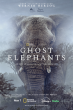 Abramorama to Host GHOST ELEPHANTS Coast-to-Coast Theatrical Screening Event on February 26 with a LIVE Panel to Follow