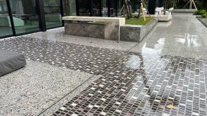 Scarpa palladiana terrazzo at the entry