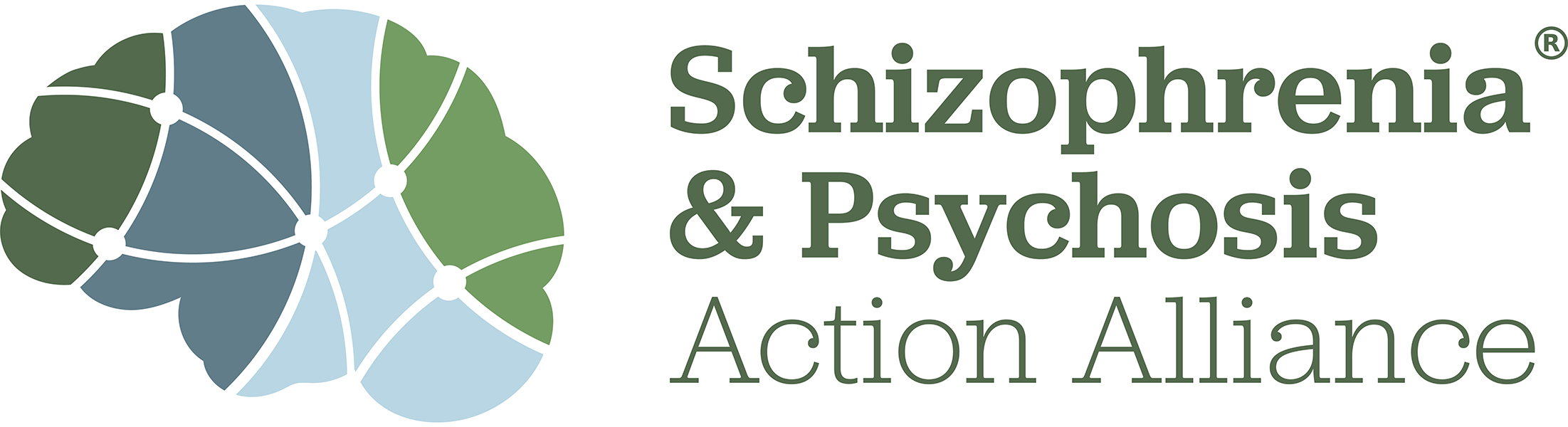Schizophrenia & Psychosis Action Alliance & Treatment Advocacy Center Co-Design National Mental Illness Justice Center