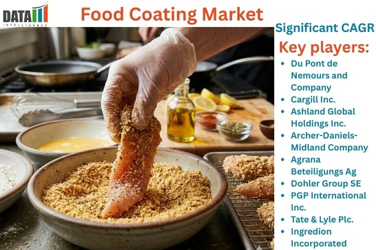 Food Coating Market Innovations, Applications, Benefits and Growth Drivers 2026-2033 | DataM Intelligence