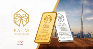 The Palm Holdings LTD