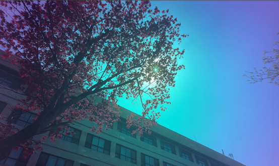 An AI design strategy unlocks full-color tunability in solar windows