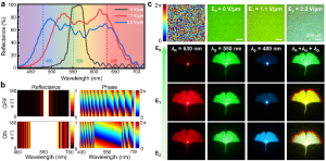 oea777777777777777777777777777777