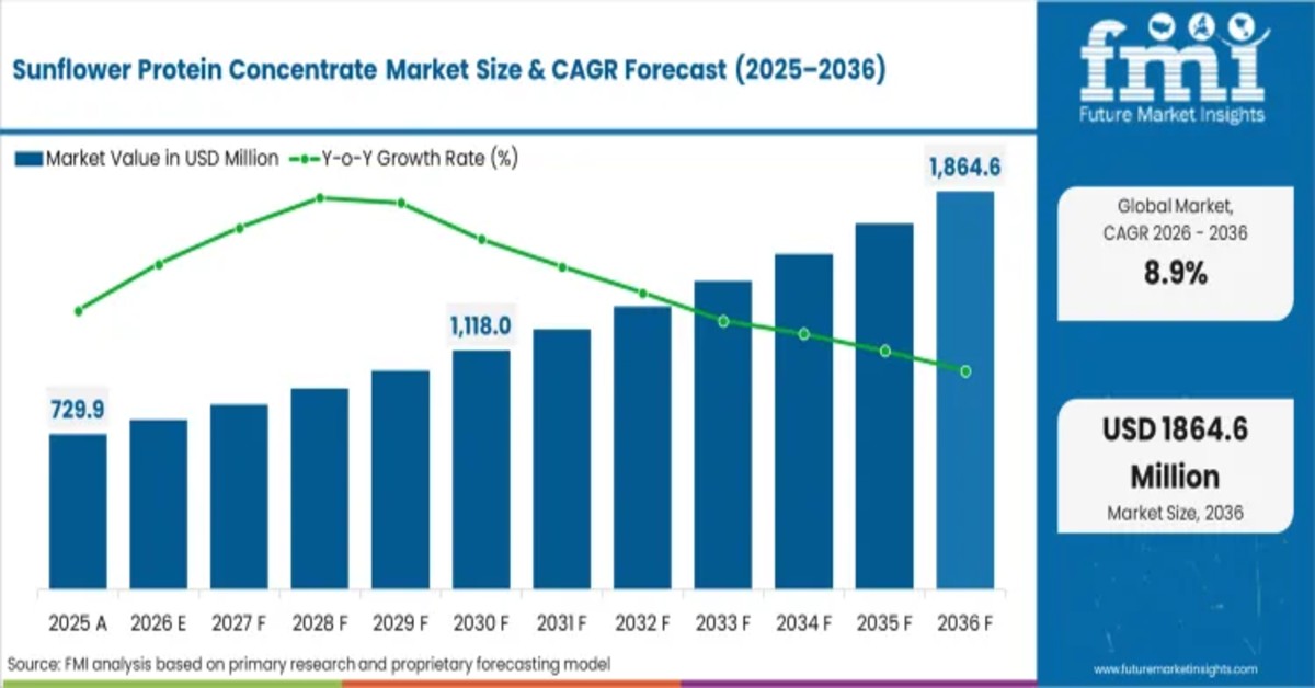 Sunflower Protein Concentrate Market Projected to Hit USD 1.87 Billion by 2036, Driven by Clean-Label Reformulation