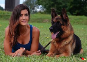 alishia-lockett-haus-amberg-shepherds