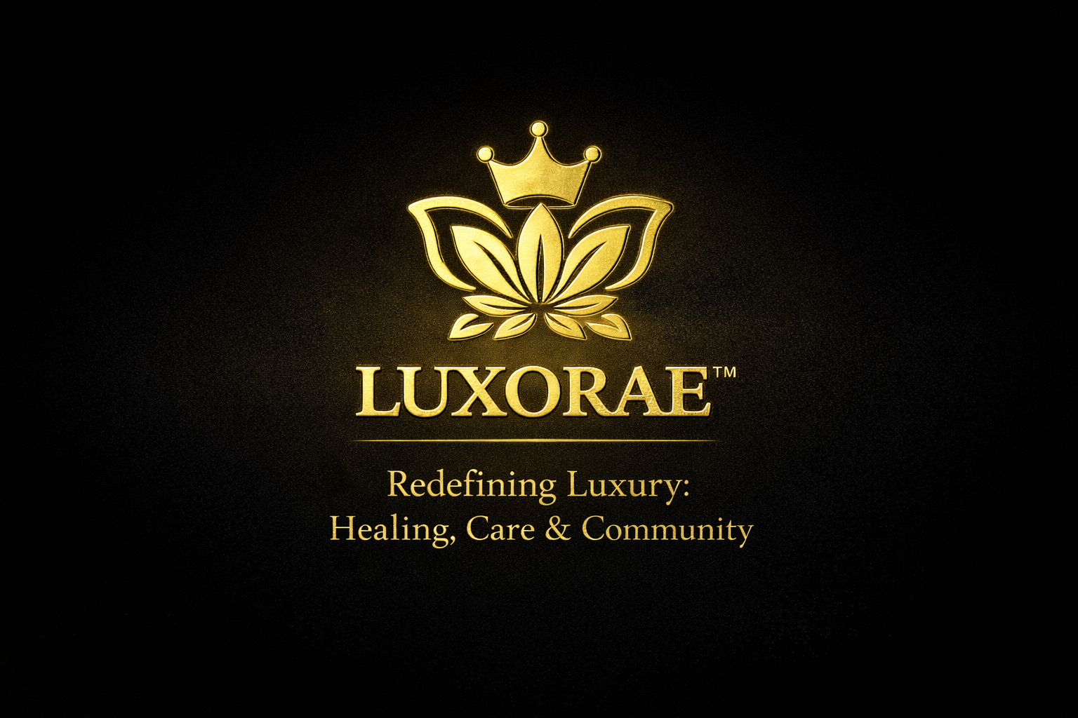 Luxorae Implements Trauma-Informed ‘Liberation-Centered Learning’ Framework in Buffalo’s Historic Districts