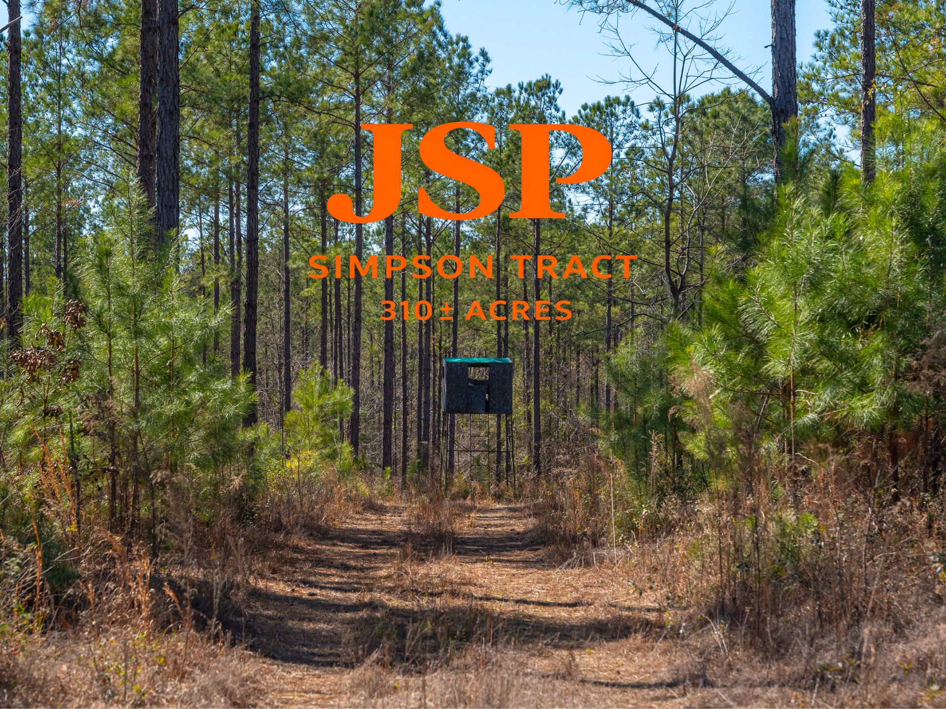 The Weeks Group Announces JSP Land Auction: 2,782± Acres of Timber, Recreational & Investment Land in South Georgia