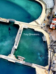 Wikie and Keijo just meters away from construction work at Marineland Antibes