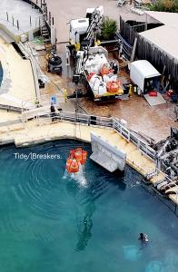 What materials are being put into the water holding Wikie and Keijo?