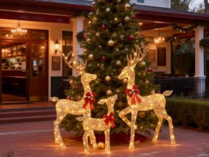 outdoor reindeer decorations bulk supplier 2