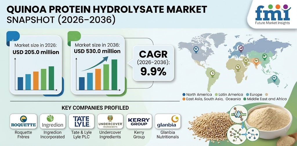Quinoa Protein Hydrolysate Market to Reach USD 530M by 2036 at 9.9% CAGR on Rising Demand for Soluble Plant Proteins