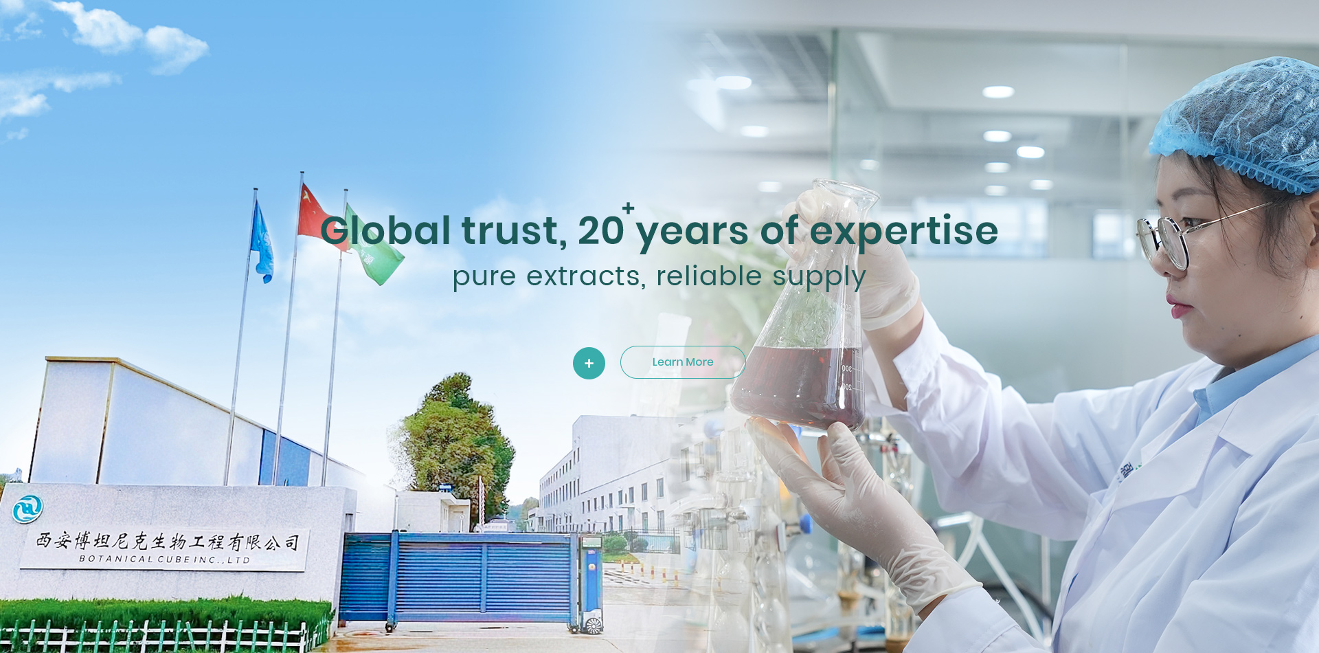 Top 5 ODM Organic Superfood Powder Suppliers to Watch Ahead of the HNC 2026 Exhibition