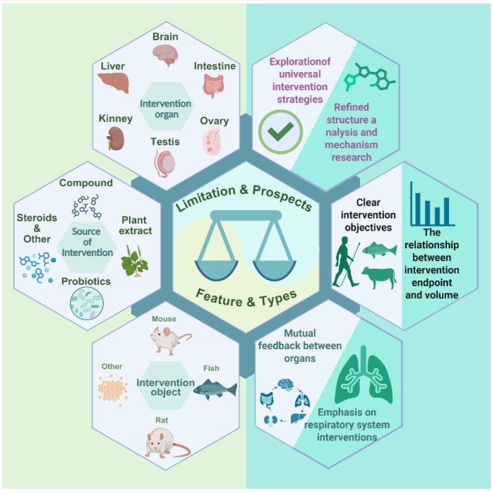 Can biology fight back? Emerging strategies to protect animals from microplastic damage