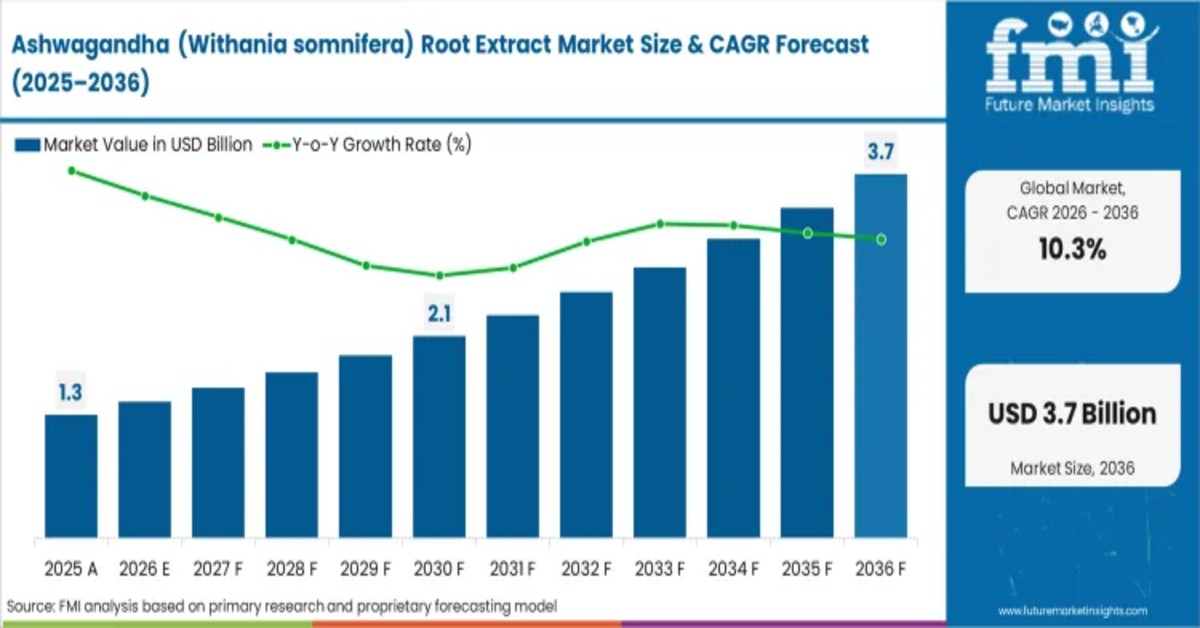 Ashwagandha Root Extract Market to Hit USD 3.8 Billion by 2036 Amid Rising Clinical Validation Demand