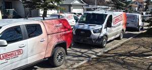 Absolute Pest Control