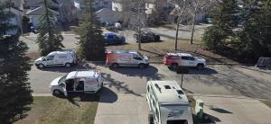 Absolute Pest Control