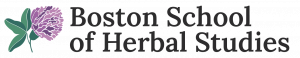Boston School Logo