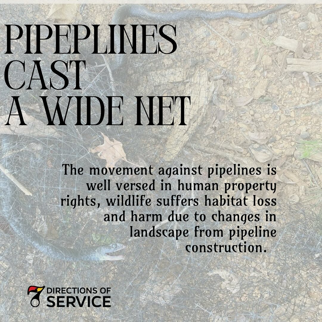 7 Directions of Service and Coalition Partners Challenge FERC Approval of Massive Southeast Gas Expansion